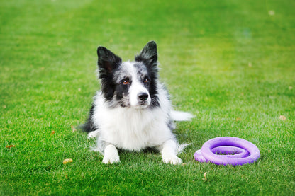 Puller Dog Medium - спортен уред за кучета от малки и средни породи 19,3 см (2 бр.)
