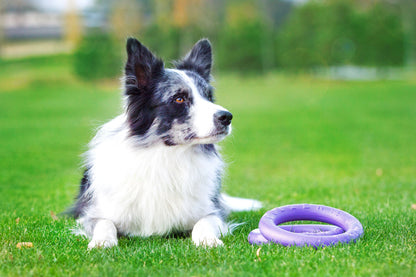 Puller Dog Medium - спортен уред за кучета от малки и средни породи 19,3 см (2 бр.)