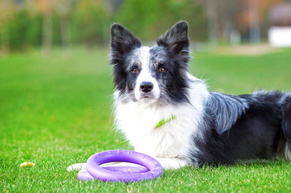 Puller Dog Medium - спортен уред за кучета от малки и средни породи 19,3 см (2 бр.)