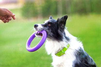 Puller Dog Medium - спортен уред за кучета от малки и средни породи 19,3 см (2 бр.)