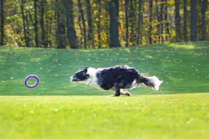 Puller Dog Medium - спортен уред за кучета от малки и средни породи 19,3 см (2 бр.)
