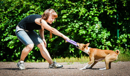 Puller Dog Medium - спортен уред за кучета от малки и средни породи 19,3 см (2 бр.)