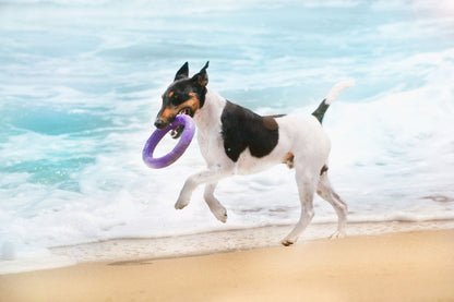 Puller Dog Medium - спортен уред за кучета от малки и средни породи 19,3 см (2 бр.)