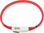 Flamingo Visio LED Black and White - светещ нашийник 35см, черен DELISTED