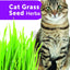 РАЗПРОДАЖБА Flamingo Cat Grass Seed - котешка трева