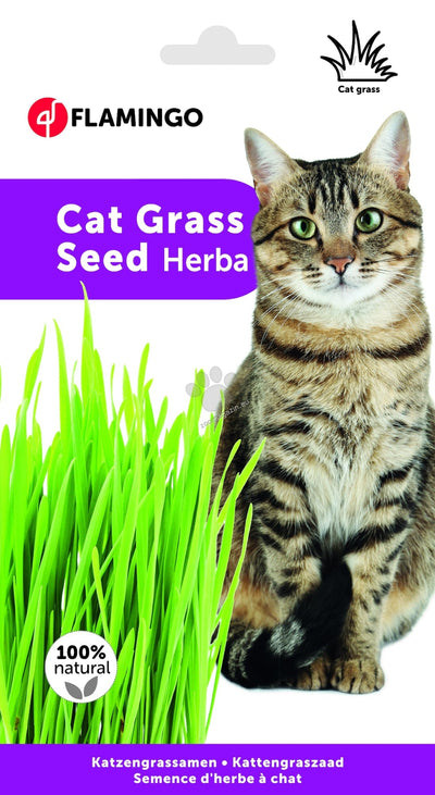 РАЗПРОДАЖБА Flamingo Cat Grass Seed - котешка трева