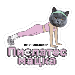Стикер за лаптоп - Пислатес мацка