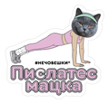 Стикер за лаптоп - Пислатес мацка