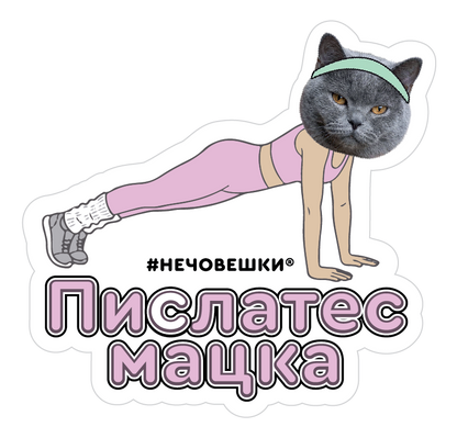 Стикер за лаптоп - Пислатес мацка