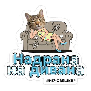 Стикер за лаптоп - Надрана на дивана