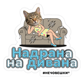 Стикер за лаптоп - Надрана на дивана
