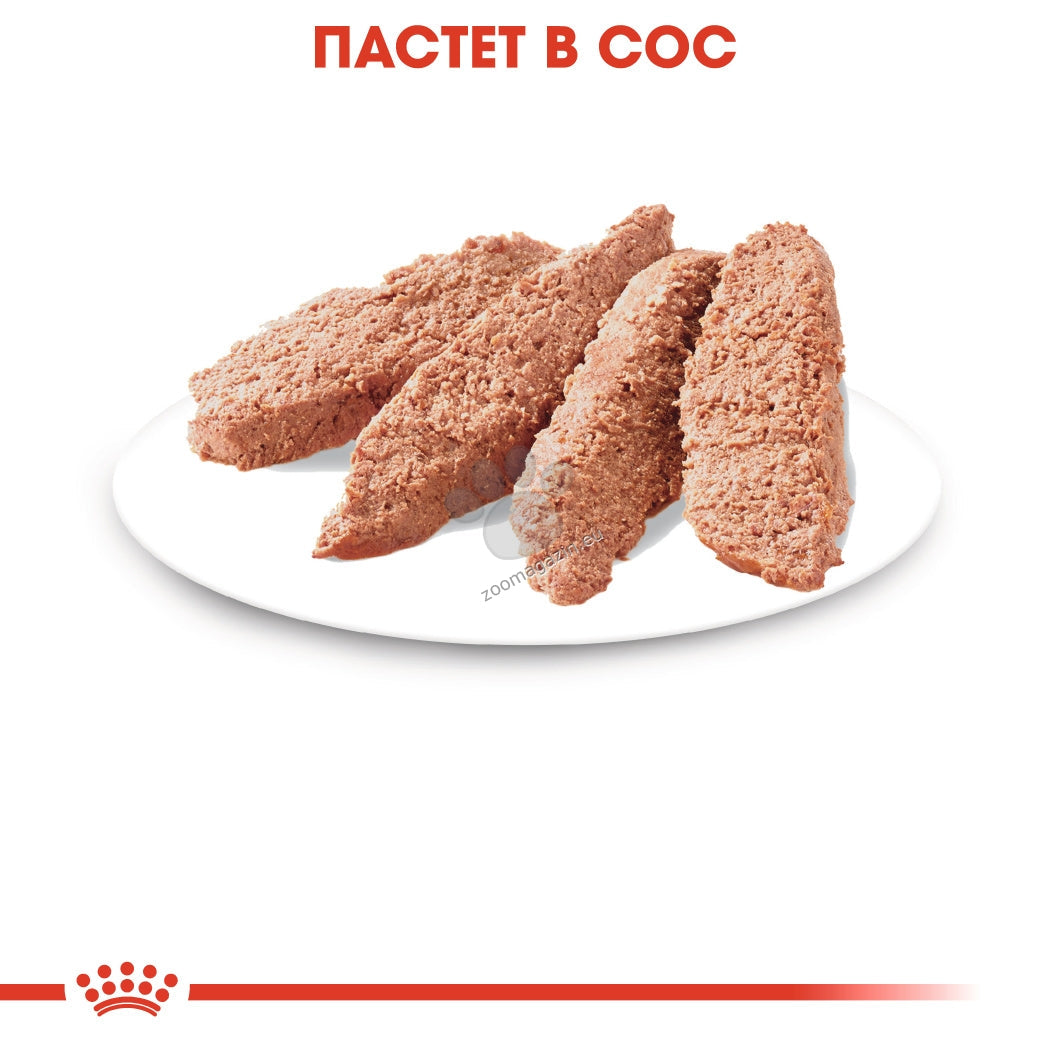 РАЗПРОДАЖБА Royal Canin Instinctive in Loaf - пълноценна храна за зрели котки 85 гр