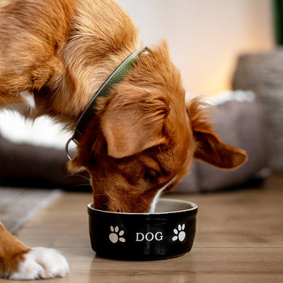 Nobby Ceramic Bowl Dog M - керамична купа за куче 240 мл, черен