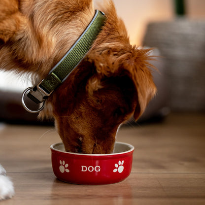 Nobby Ceramic Bowl Dog M - керамична купа за куче 240 мл, червен