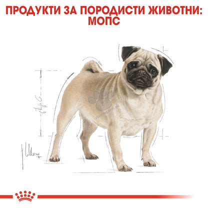 68ecd41d37b53c36470ded2779e1a5d2.jpeg