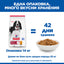 Hills Science Plan Medium Adult – с пилешко, пълноценна храна за кучета от средни породи 10-25 кг, с умерени енергийни нужди, 1 - 6 г