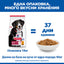 Hills Science Plan Large Breed Adult – с пилешко, пълноценна храна за кучета от едри породи над 25 кг с умерени енергийни нужди, 1 - 6 г