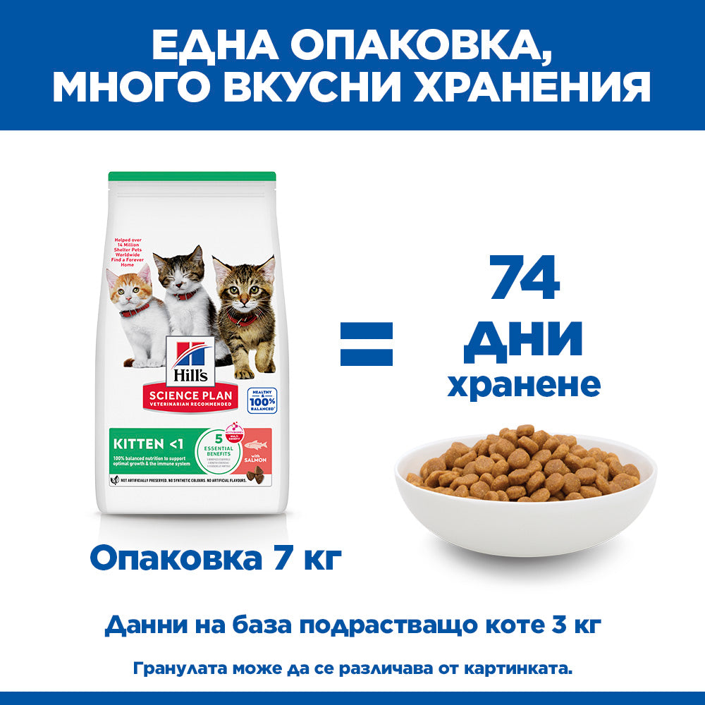 Hills Science Kitten Salmon - суха храна за котнеца със сьомга 1.5 кг