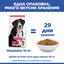Hills Science Plan Large Breed Adult – с агнешко, пълноценна храна за кучета от едри породи над 25 кг с умерени енергийни нужди, 1 - 6 г. 11+3 кг.