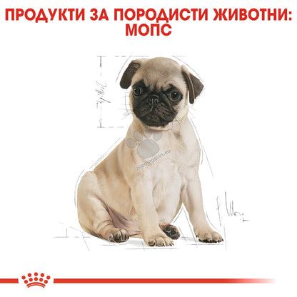6a0deb5dd5d5be24073ec99e2c1c5c60.jpeg