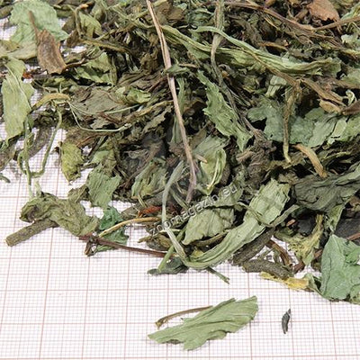 JBL ProTerra Herbil - основна храна за сухоземни костенурки с изсушени билки 250 мл