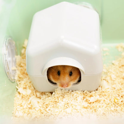 Ferplast - Combi 1 - equipped hamster cage 40.5 / 29.5 / 22.5 cm.