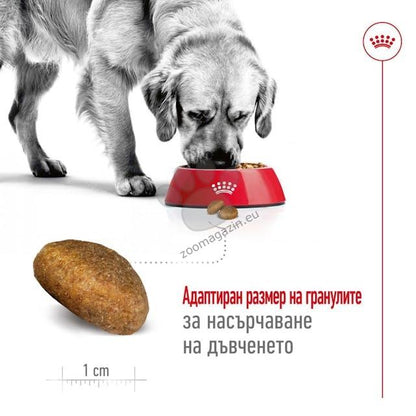 Royal Canin Maxi Adult - пълноценна храна за кучета от едри породи 15+3 кг
