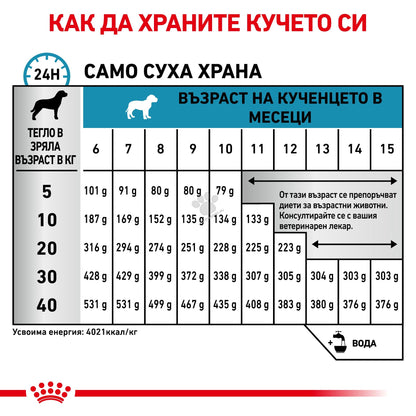 721a81a69d8763388c09286769dd97c3.jpeg