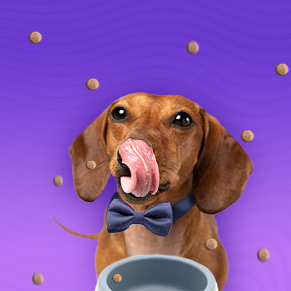 Гранули за кучета