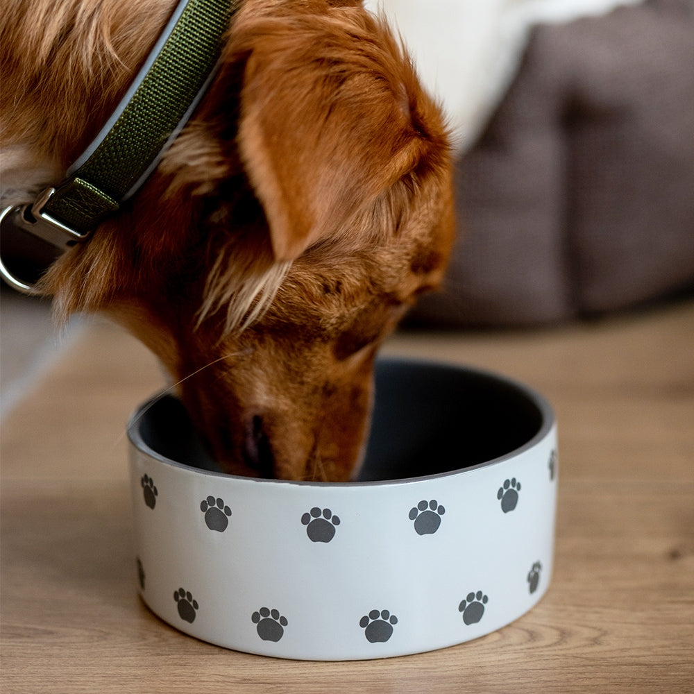 Nobby Dog Ceramic Bowl Pata - керамична купа 250 мл