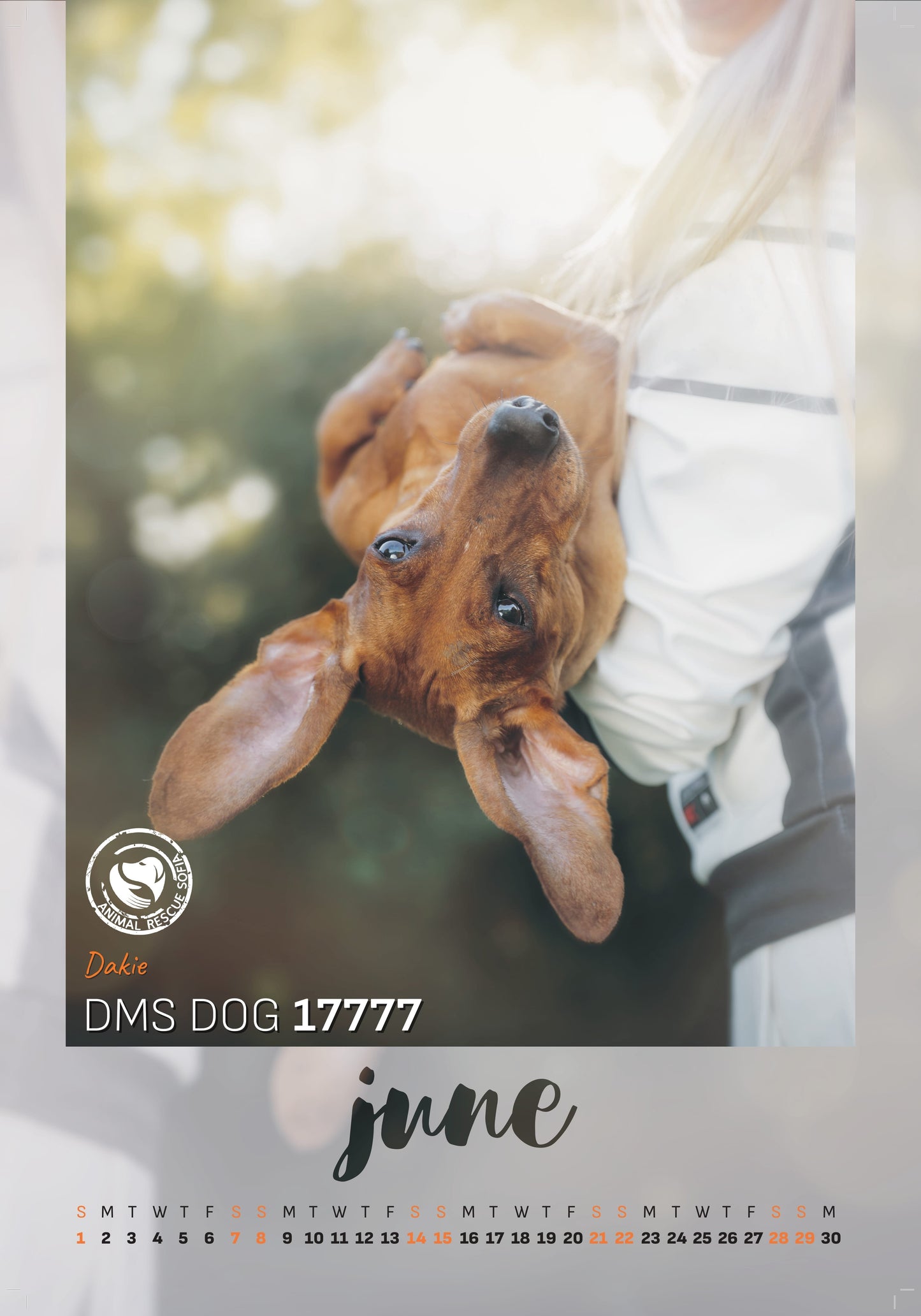 Animal Rescue Sofia - дарителски календар за 2025 година