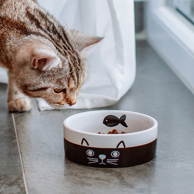 Nobby Cat ceramic bowl Face - керамична купа 13,5 x 5см - 250 мл
