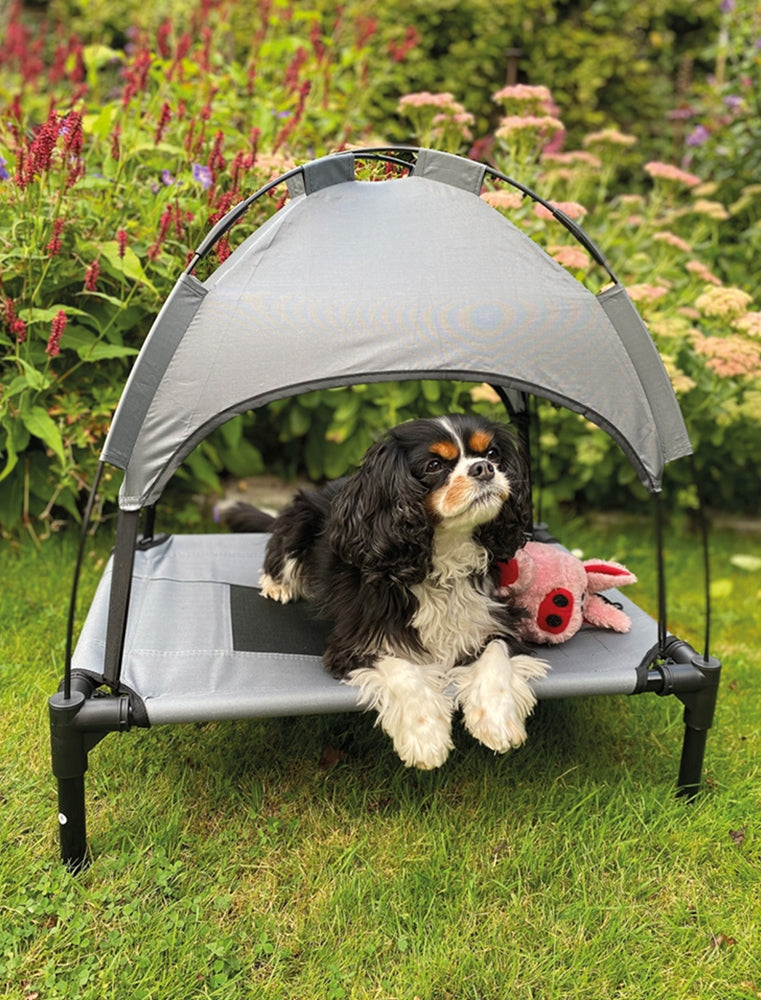 Nobby Dog Lounger Chill Cool - шезлонг за куче 76 / 61 / 18 см