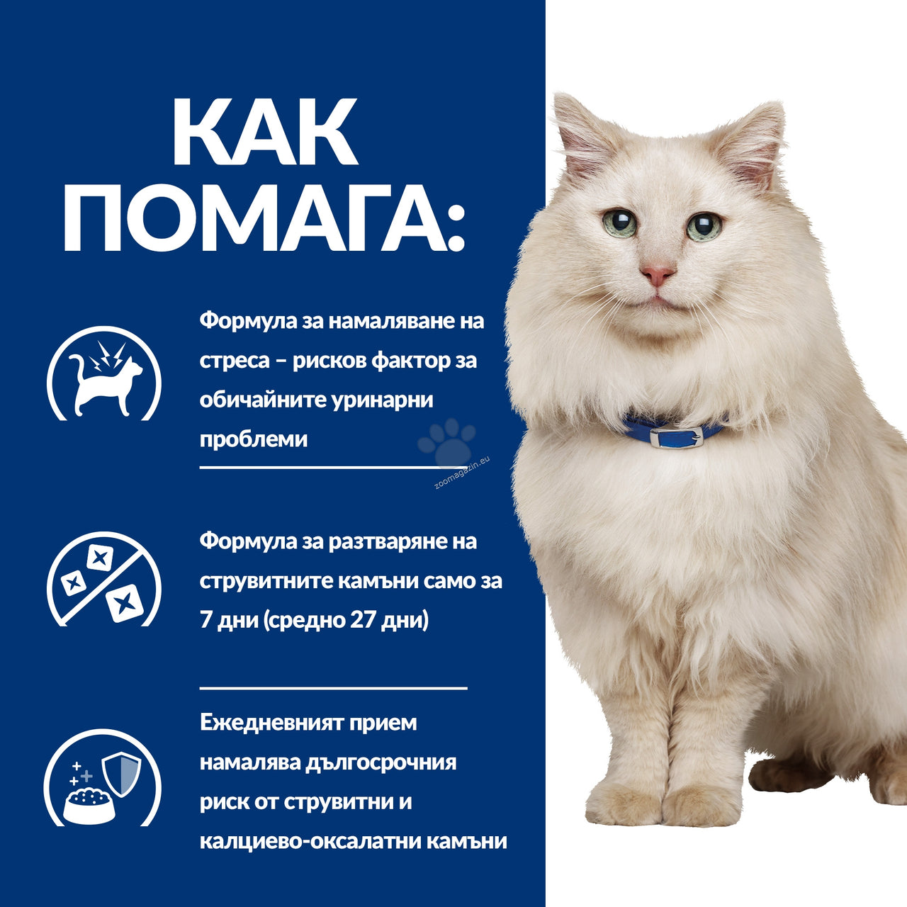 743d2d03a13086d4acef7ba8b5bda93a.jpeg