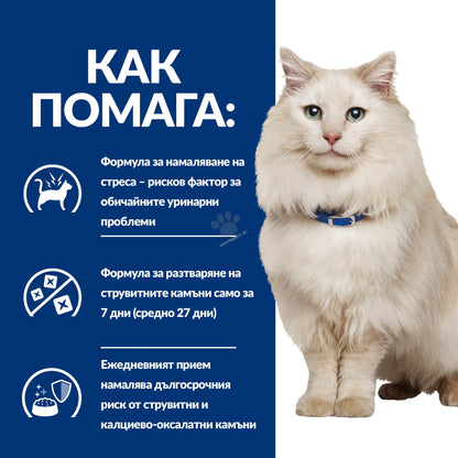 743d2d03a13086d4acef7ba8b5bda93a.jpeg