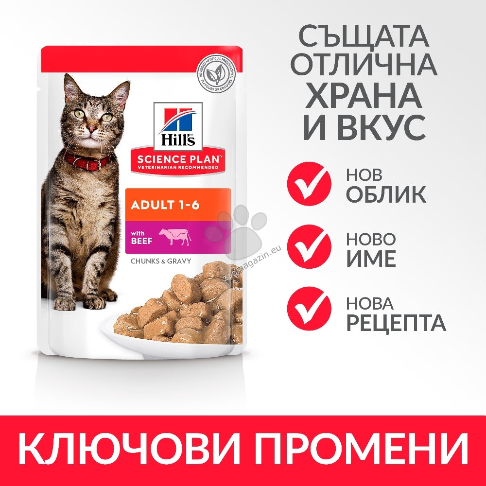 74ad3d4b1c716dcfd8645308b8414374.jpeg
