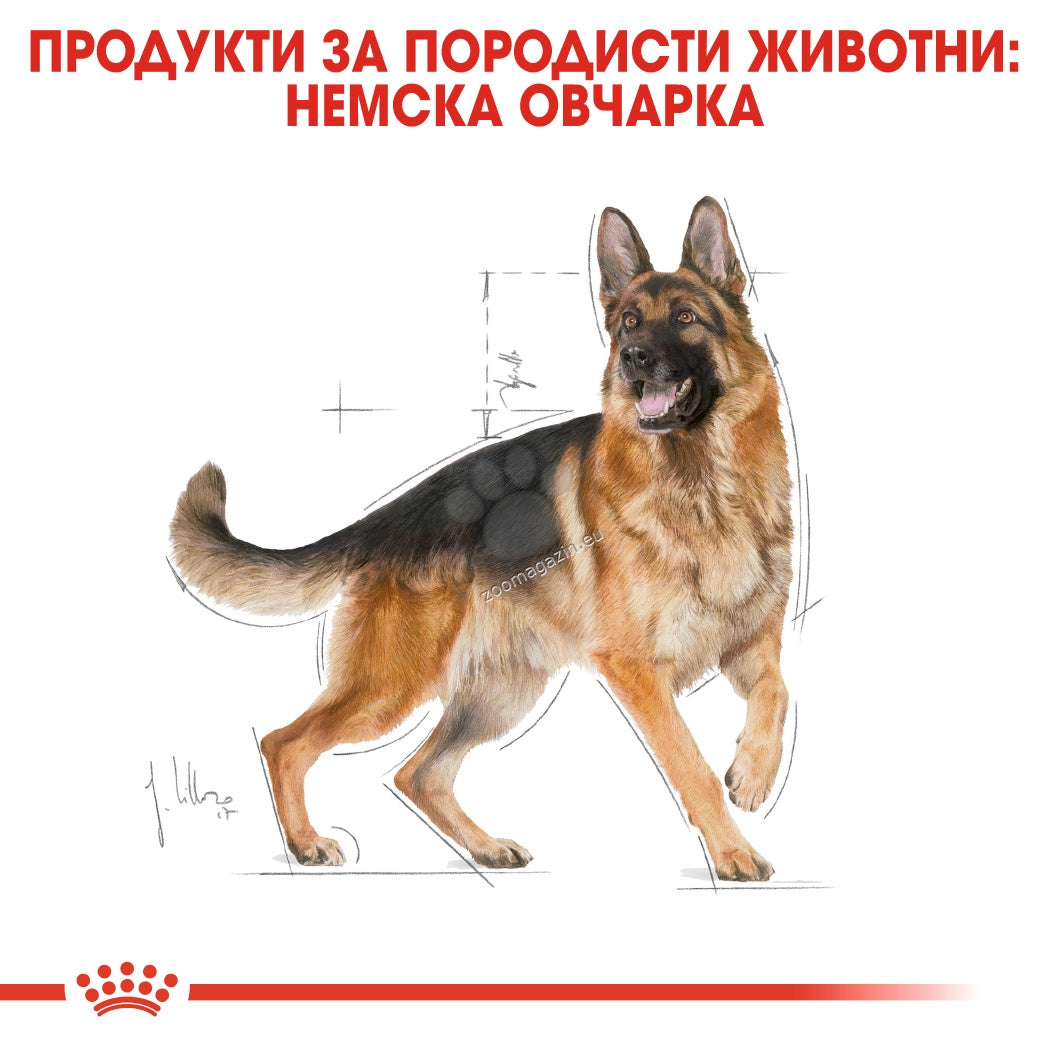 781d1fe71cbb197c27b9110af4377745.jpeg