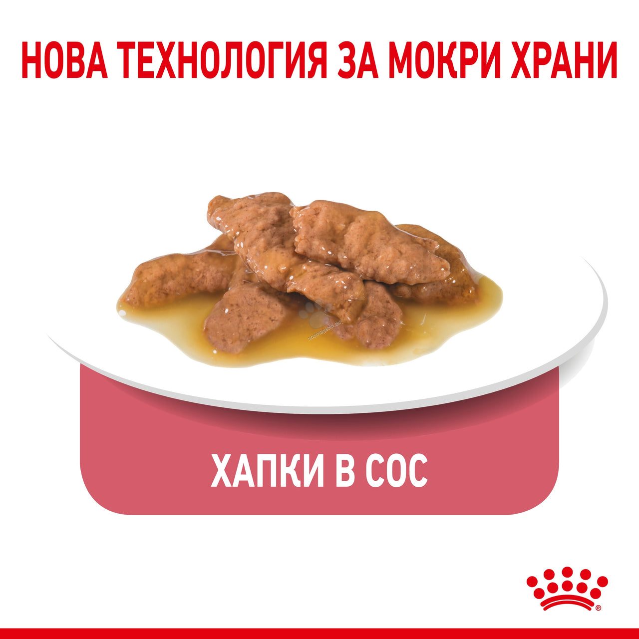 7938c11f8042eee37384d08d1951f574.jpeg