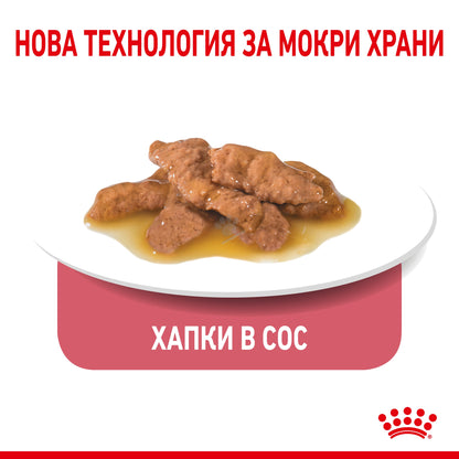 7938c11f8042eee37384d08d1951f574.jpeg