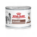 Royal Canin Recovery - лечебна храна за хранителното възстановяване  195 гр.