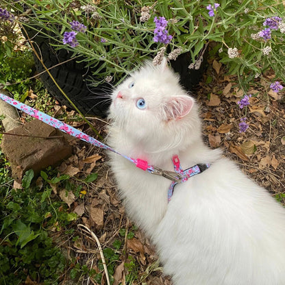 Max Molly Cat Harness Set Cherry Bloom - harness and leash for cats with neck circumference 21.5-33 cm and body circumference 27-44 cm