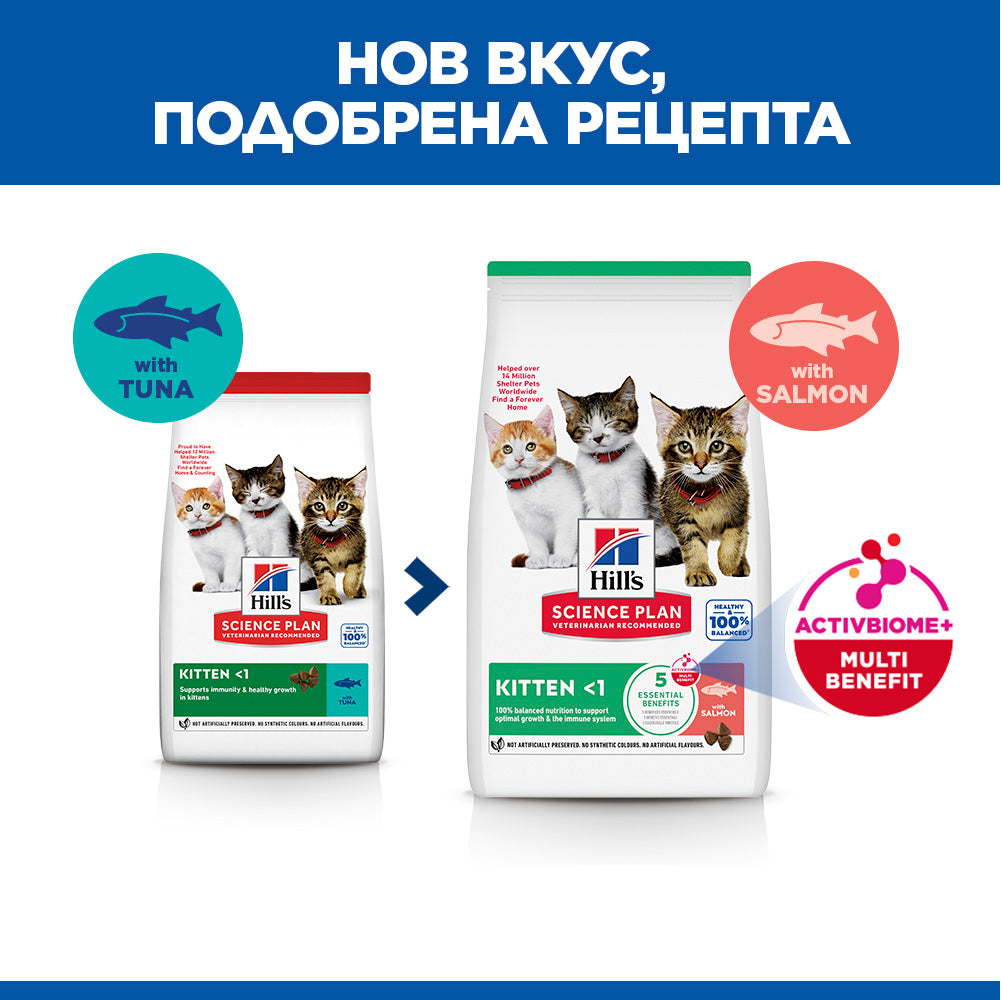 Hills Science Kitten Salmon - суха храна за котнеца със сьомга 1.5 кг