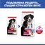 Hills Science Plan Large Breed Adult – с агнешко, пълноценна храна за кучета от едри породи над 25 кг с умерени енергийни нужди, 1 - 6 г. 11+3 кг.