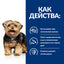 РАЗПРОДАЖБА Hills Prescription Diet l/d Liver Care - лечебна суха храна за кучета с чернодробни проблеми