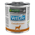 Vet Life Convalescence - пълноценна диетична храна за кучета за хранително възстановяване, реконвалесценция 300 гр.