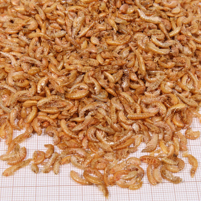 JBL ProTerra Gammarus - лакомство за водни и блатни костенурки, пречистен естествено изсушен гамарус 250 мл