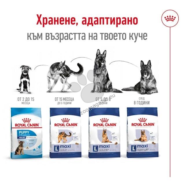 Royal Canin Maxi Adult - пълноценна храна за възрастни кучета от големи породи 12 кг