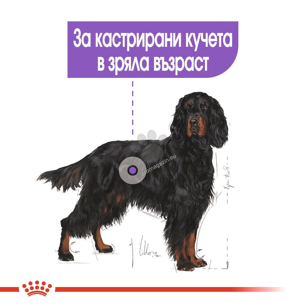 87c75edffe2cd97da89ca0d008854816.jpeg