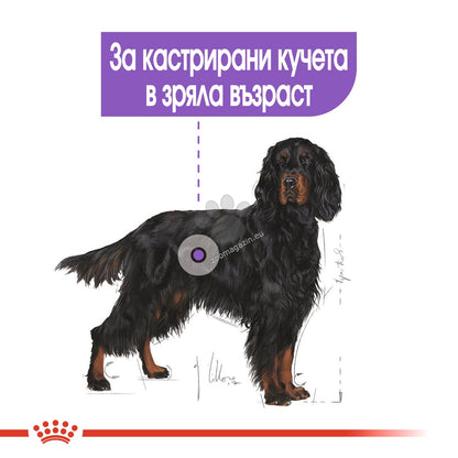 87c75edffe2cd97da89ca0d008854816.jpeg