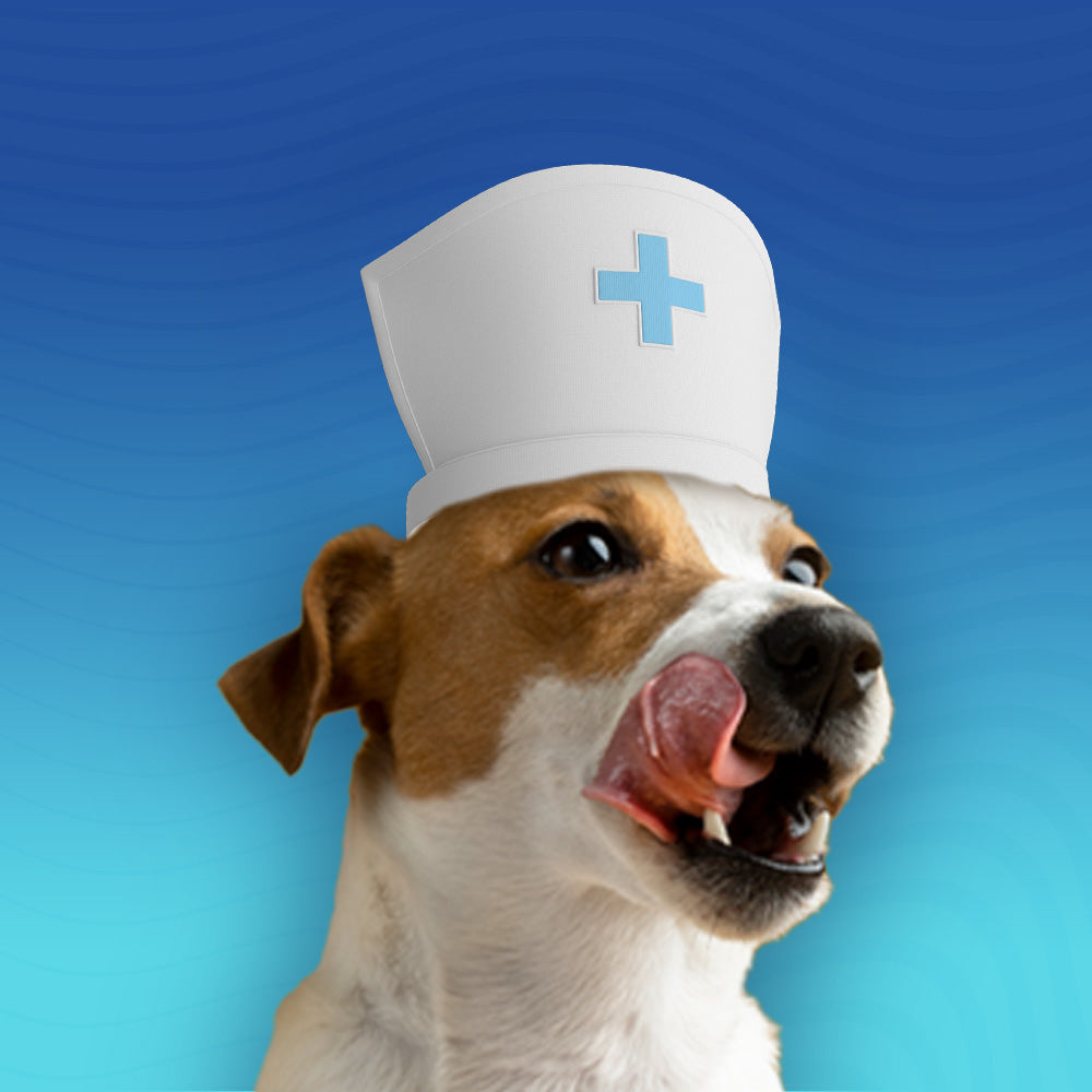 Лечебни храни за куче